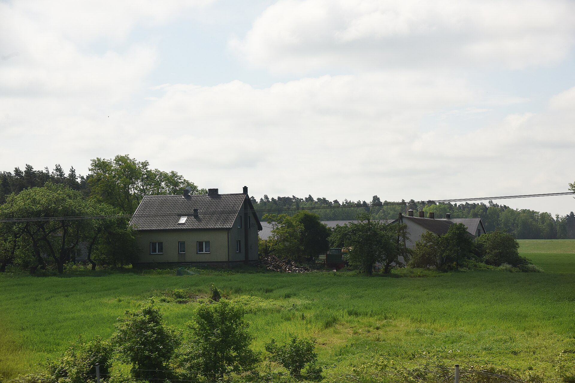 Zdjęcie: Podlaskie – kraina żubrów, puszczy i wielu kultur