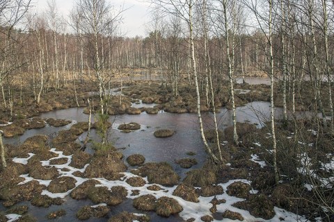 Biebrzański Park Narodowy