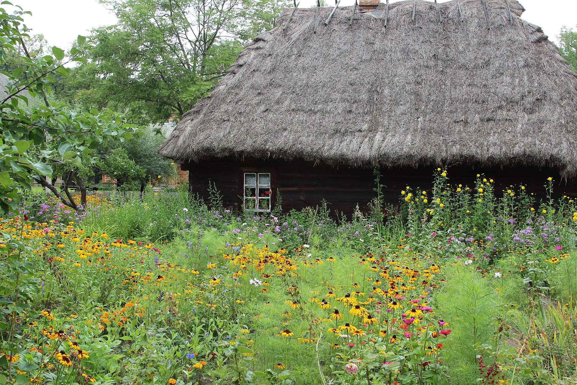 Zdjęcie: Ciechanowiec