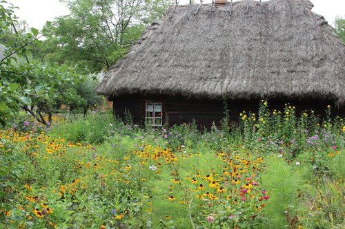 Ciechanowiec