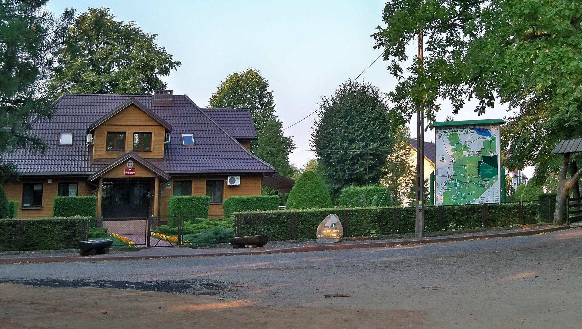 Zdjęcie: Gruszki