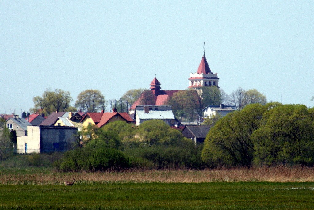 Zdjęcie: Łapy