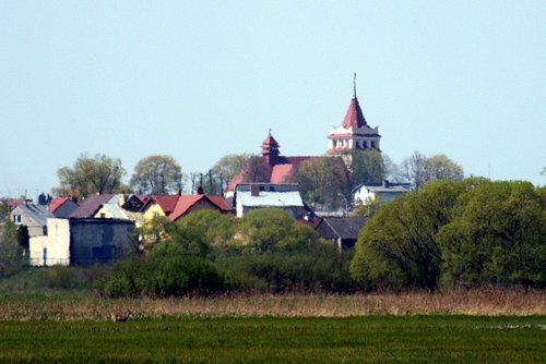 Łapy