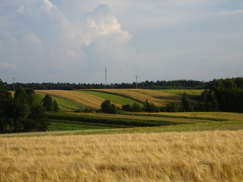 Lubelskie – Roztocze, Polesie i smak wschodniej wsi