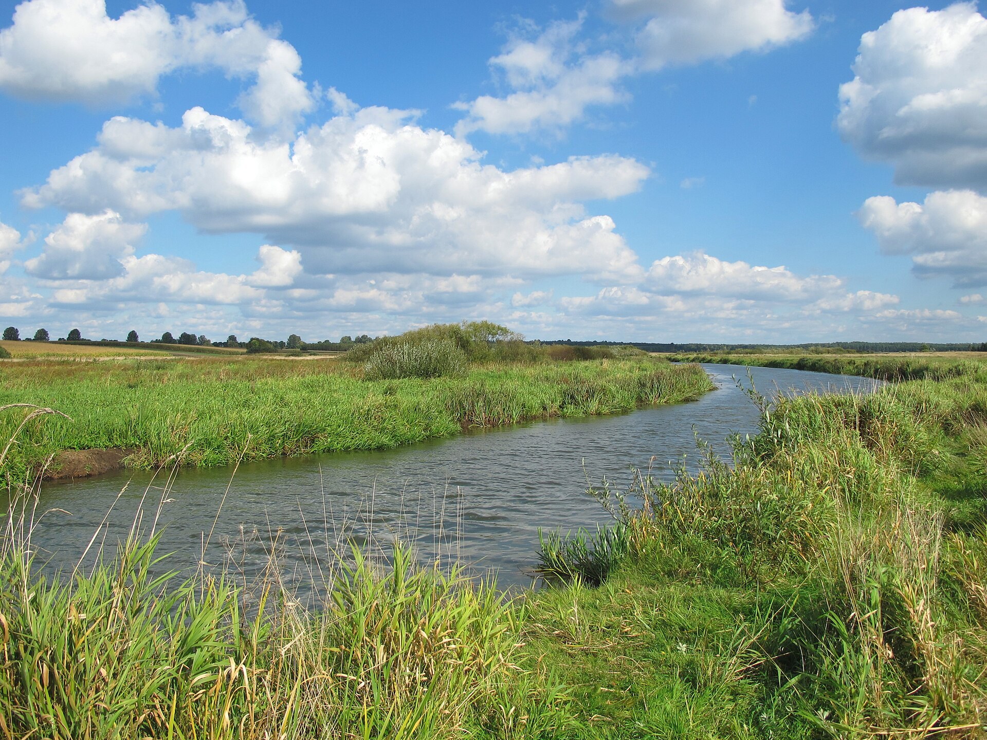 Zdjęcie: Narew
