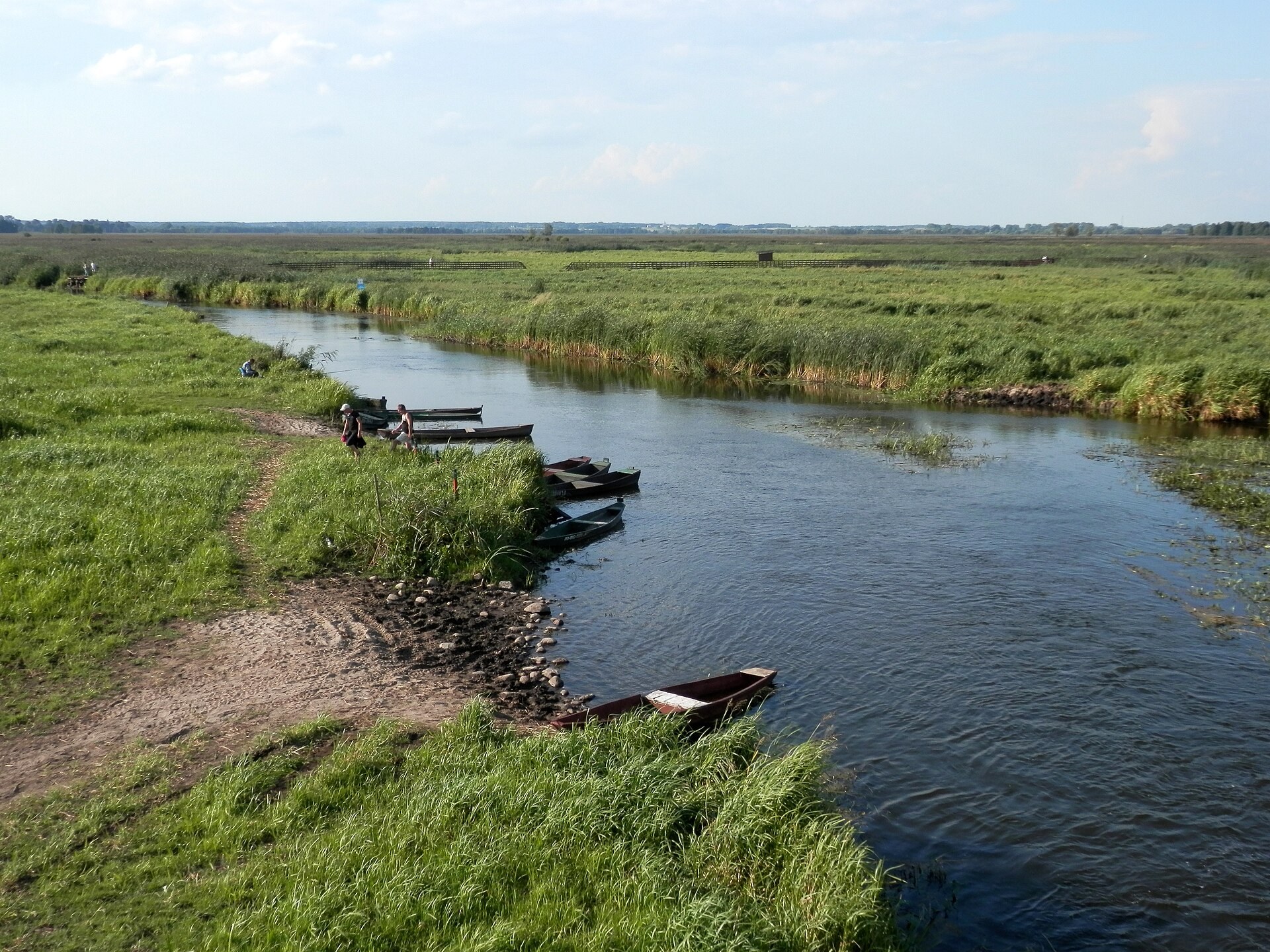 Zdjęcie: Narwiański Park Narodowy