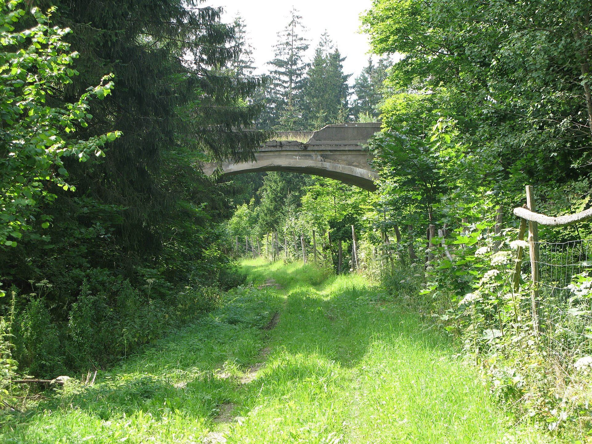 Zdjęcie: Park Krajobrazowy Puszczy Rominckiej
