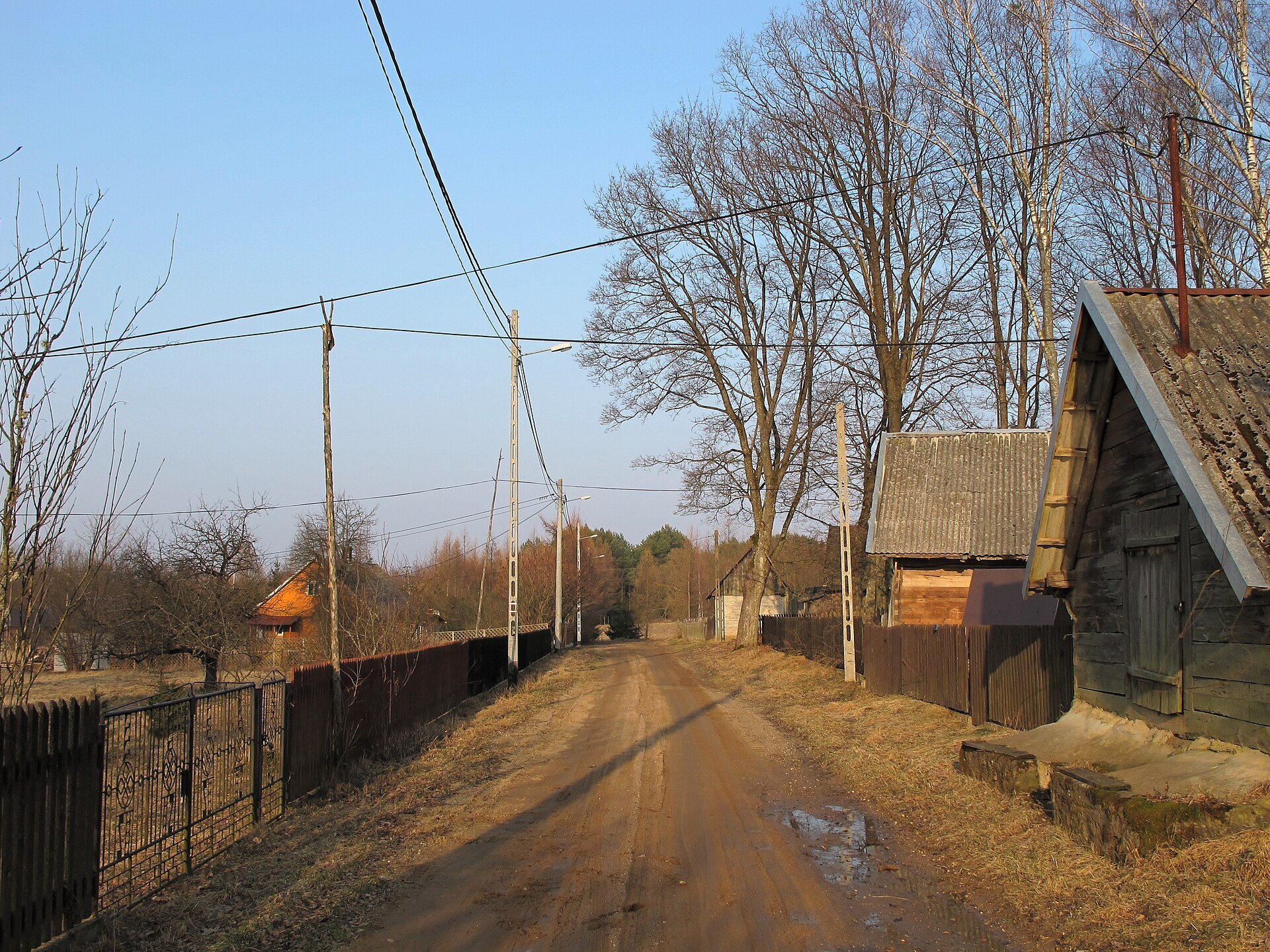 Zdjęcie: Poczopek