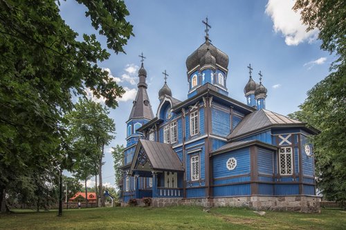 Puchły