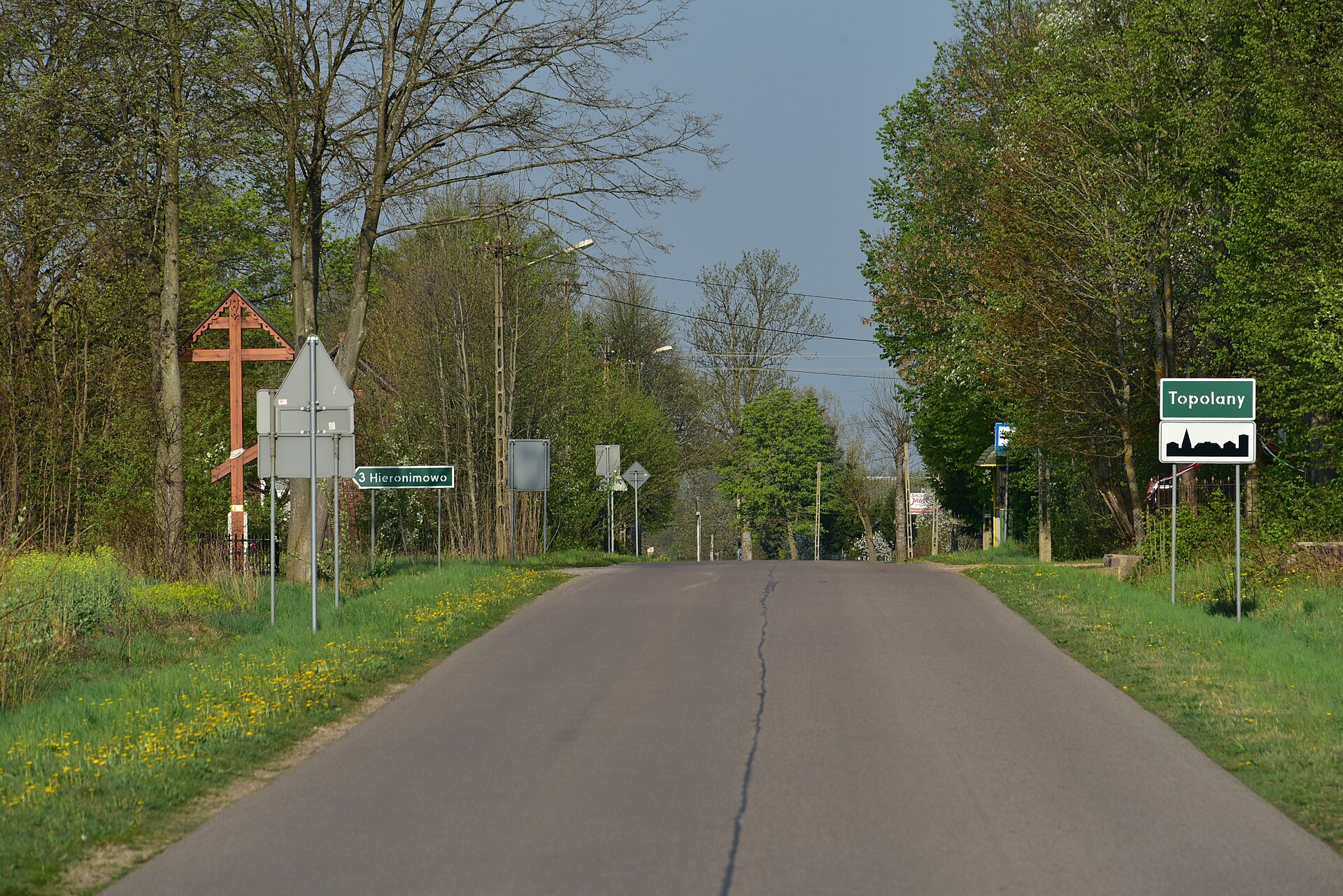 Zdjęcie: Topolany