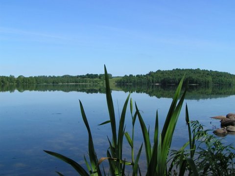 Zdjęcie: Suwalszczyzna