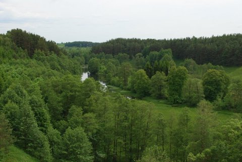 Zdjęcie: Suwalszczyzna