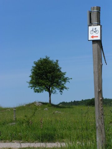 Zdjęcie: Suwalszczyzna