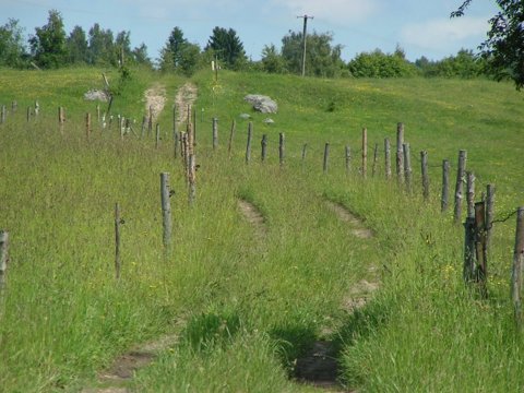 Zdjęcie: Suwalszczyzna