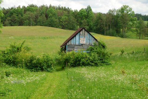 Zdjęcie: Wodziłki