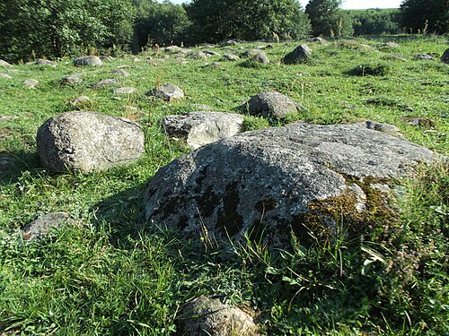 Zdjęcie: Głazowisko Bachanowo nad Czarną Hańczą