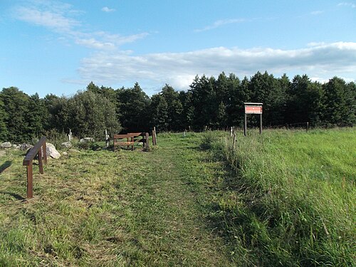 Zdjęcie: Głazowisko Bachanowo nad Czarną Hańczą