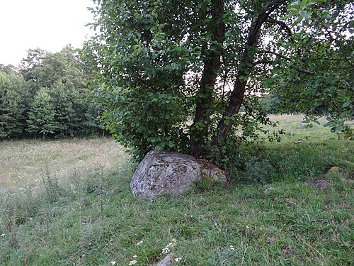 Zdjęcie: Głazowisko Bachanowo nad Czarną Hańczą