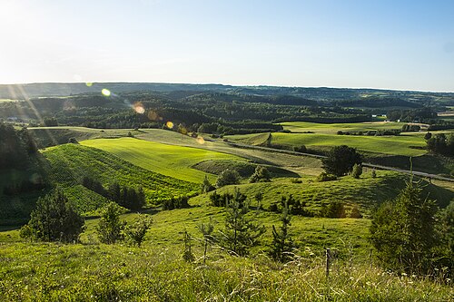 Zdjęcie: Góra Cisowa – Suwalska Fudżijama